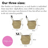 Pink Planet Basket - Extra Large