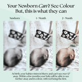 0+ Month Newborn Sensory Cards
