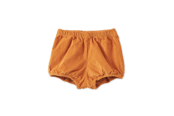 Organic Cotton Velvet Bloomer Shorts