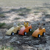 Animal Friends Racing cars