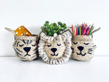 Natural Lion Basket - Mini