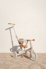 Little Dutch - 4 in 1 Tricycle - Sunny Flower