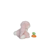 Olli Ella - Binky Barnyard - Binky Bunny - Dot