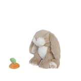 Olli Ella - Binky Barnyard - Binky Bunny - Hop