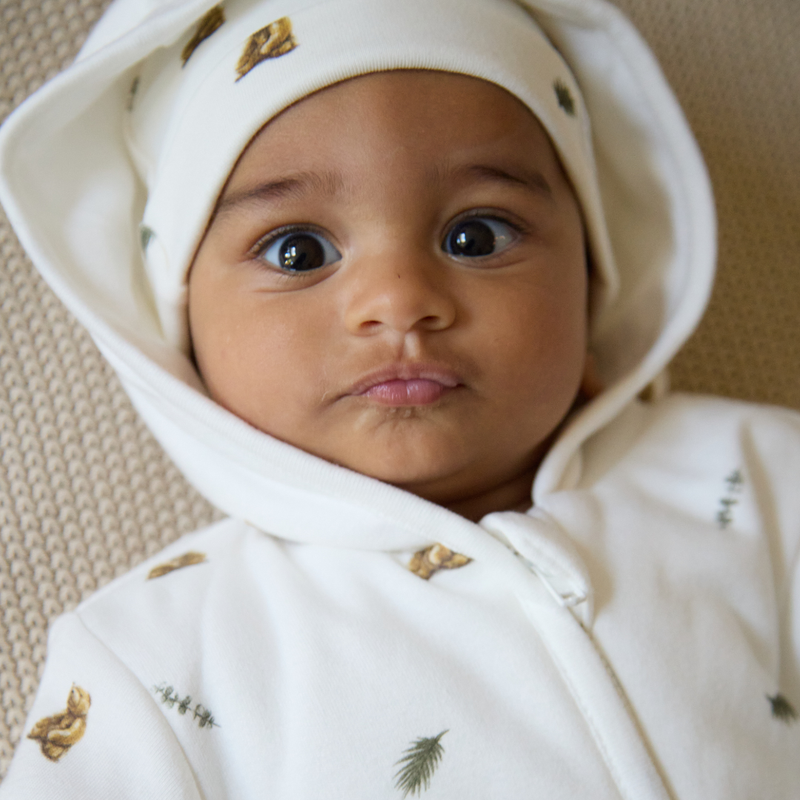 Pramsuit - Brown Bear