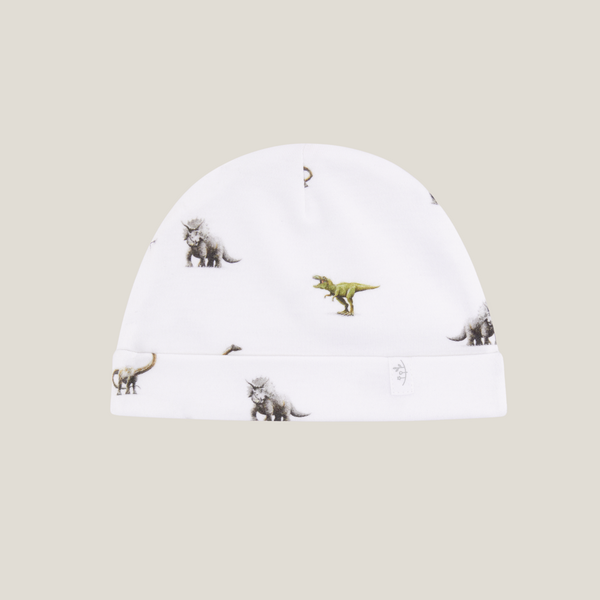 Hat - Dinosaur - Pre-Order