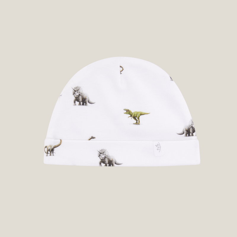 Hat - Dinosaur - Pre-Order