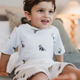 Summer Pyjamas - Dinosaur