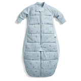 ergoPouch - Organic Winter Long Sleeved 2 in 1 Sleeping Suit Bag - Dragonflies 2.5 TOG