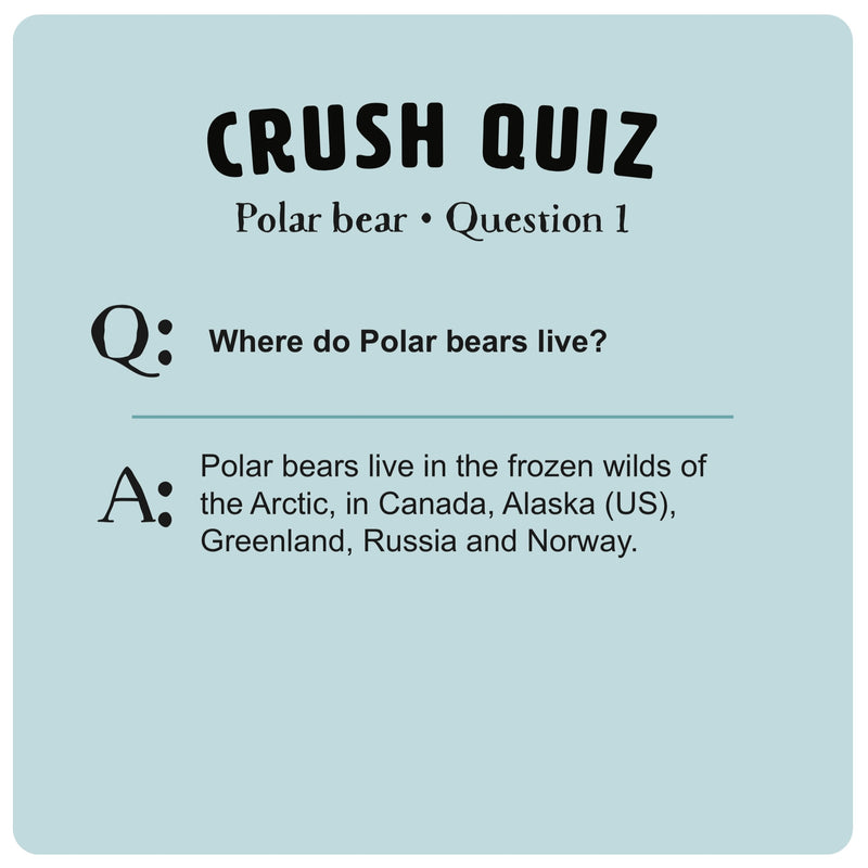 The Crush Series Quiz Cards