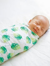 Organic Swaddle Set - Tropical Paradise (Parrot & Leaf)