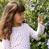 Pyjamas With Frill - Rose