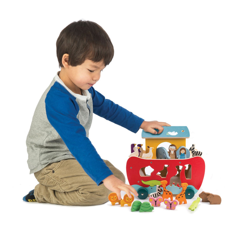 Noah's Shape Sorter Ark