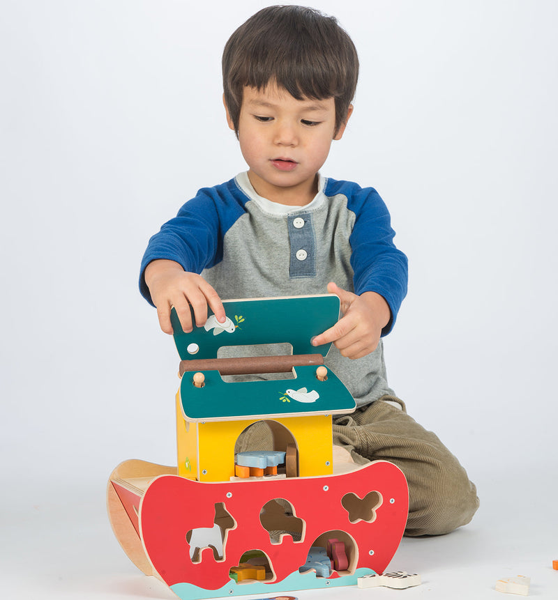 Noah's Shape Sorter Ark