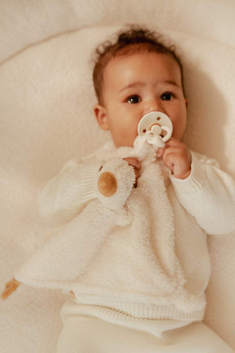 Little Dutch - Cuddle Cloth - Little Goose