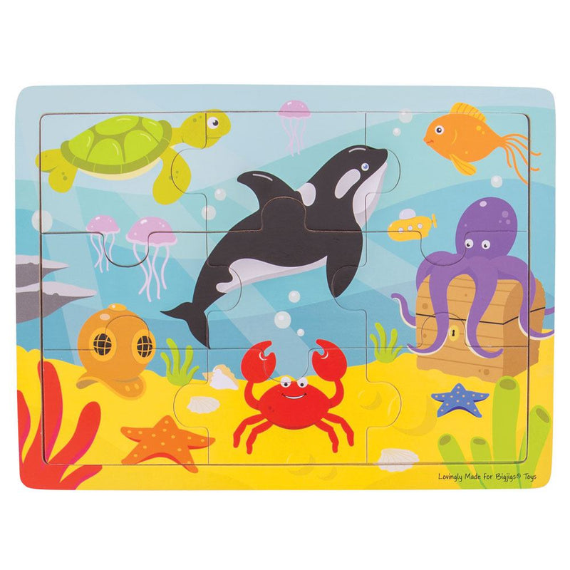 Tray Puzzle (Underwater)