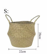 Natural Tiger Basket - Small