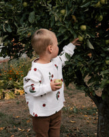 Raspberry Patch Sweater