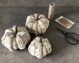 CROCHET PUMPKINS (SET of 3)