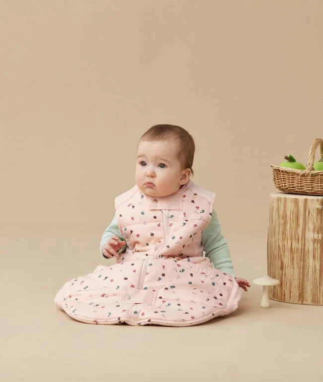 ergoPouch Cocoon Swaddle Bag - Cute Fruit 2.5TOG