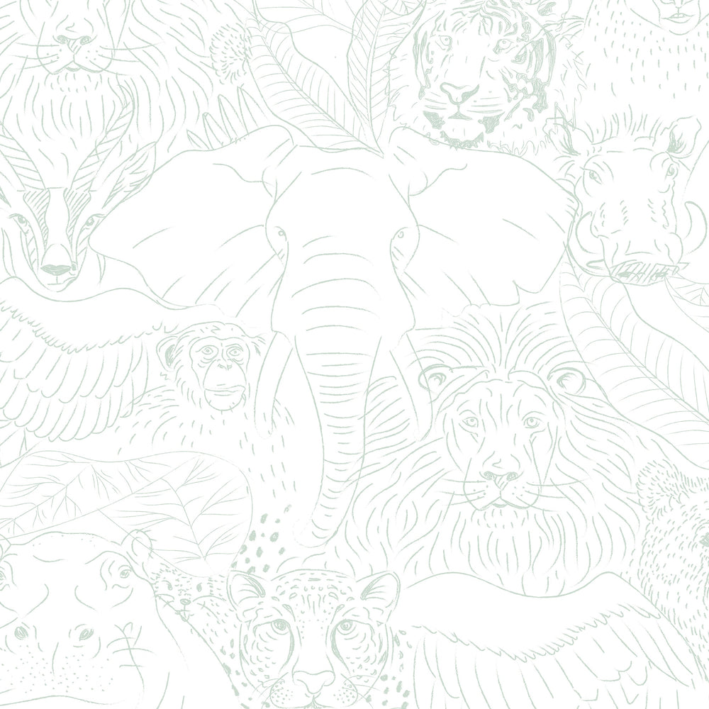 
                      
                        Animal Kingdom Wallpaper
                      
                    